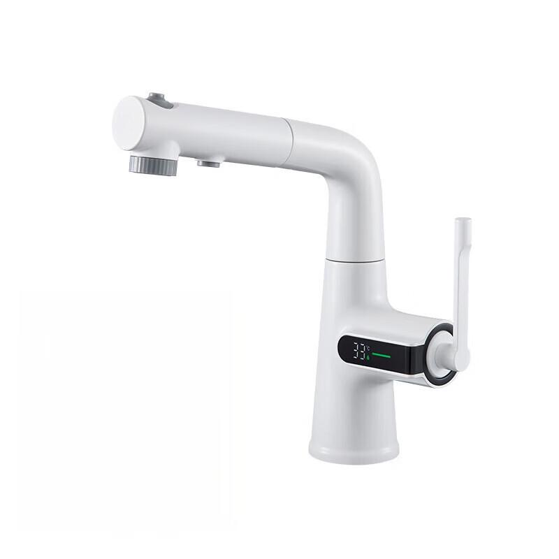 TLXT Digital Display Pull-Out Basin Faucet