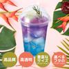 Shimojima Heiko Clear Cups, 3, 62mm Diameter X 60mm Height X 39mm Base Diameter, 100 Pieces, 004525003