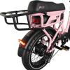 AVDL T7 20 Inch Fat Tire Electric Bicycle for Adults 250W Powerful Motor 48V 18Ah Large Capacity Battery All Terrain E-Bike for Outdoor Riding