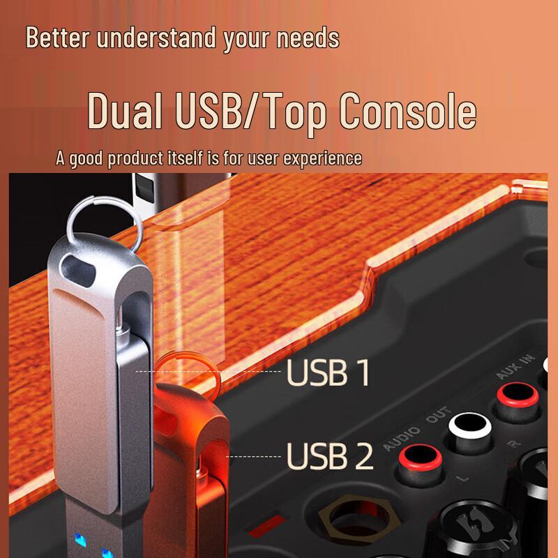 SANSUI G08 Portable KTV Bluetooth Speaker