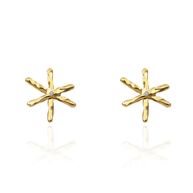 POPPI The Classical Star Earrings No.1