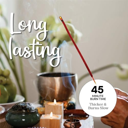 Bâtonnets d'Encens Sang de Dragon Puissant - 40+ Bâtonnets, 9 pouces