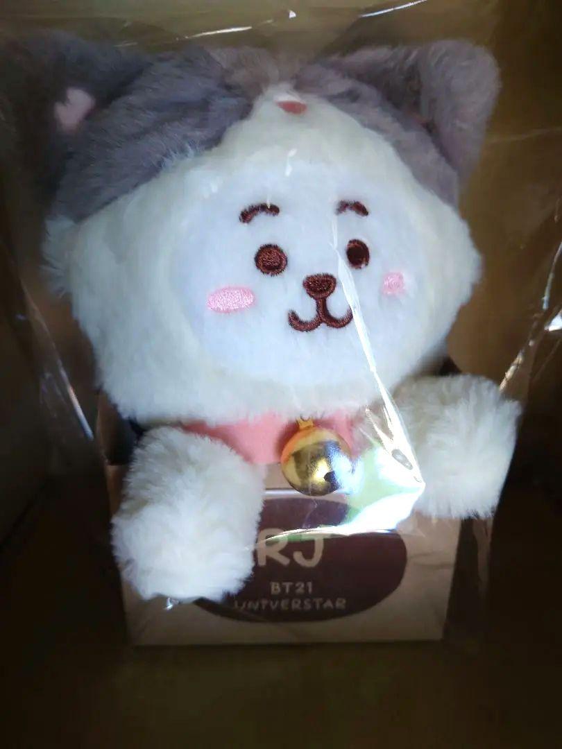 

[USED] BT21 Plush Toy (CAT DAY) RJ