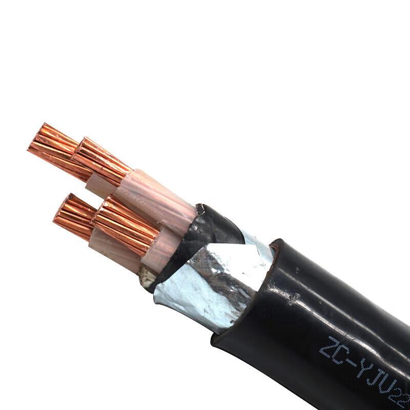 

Zhuyuan Renmin 5-Core Copper Armored Power Cable CN plug (adapter included)