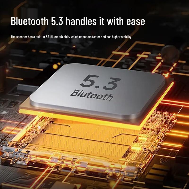 Newsmy KTV Microphone & Bluetooth Speaker System