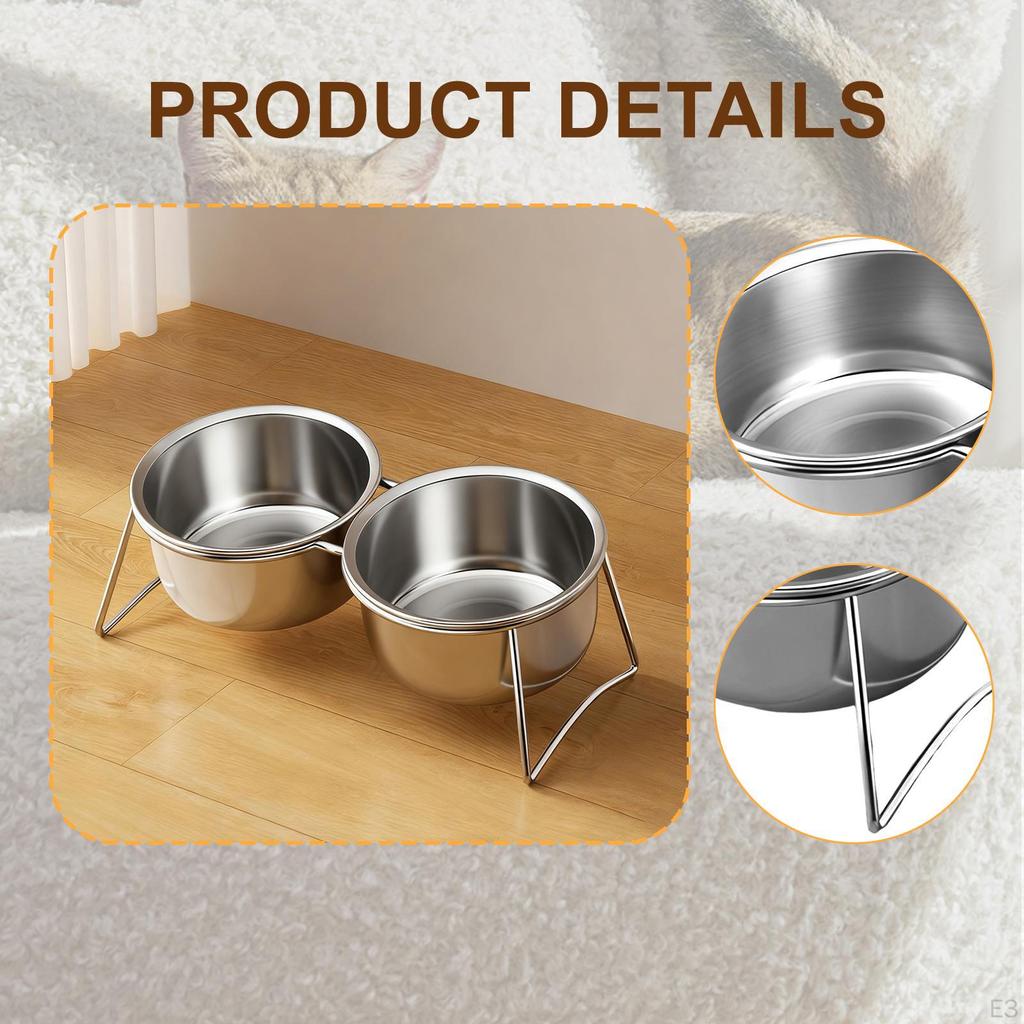 Bowl Feeder Station with Stand Pet Bowls Tilted Cat Dog Dish and Waterer for Puppy Cats
