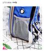 Transparent Double Shoulder Cat Backpack - Lightweight, Breathable & Panoramic Pet Bag for Outings