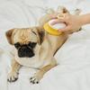 Healing Brush Dog/Cat Dead Hair Removal Hair Care Comb