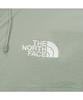 The North Face Nj3Bs01C Men'S Free Jacket Herb Garden