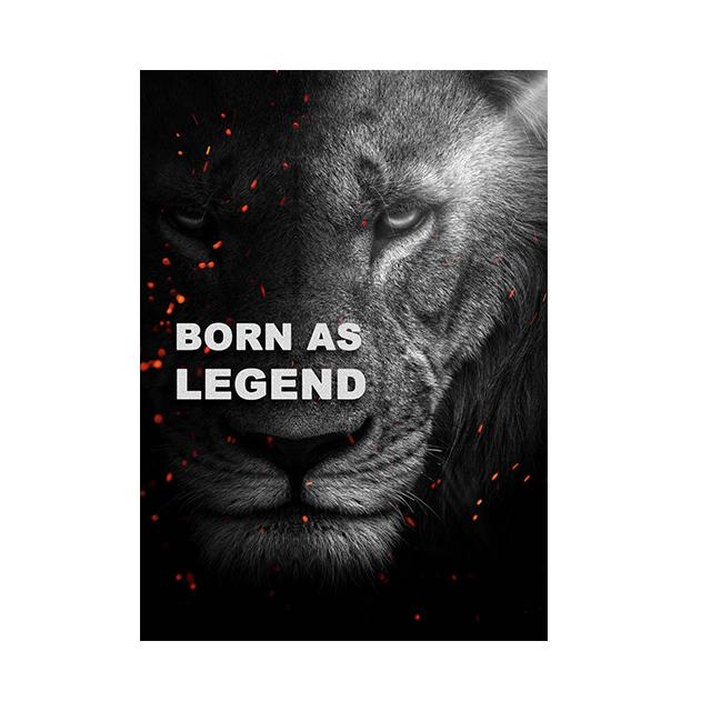 Lion and Tiger Motivational Text Posters Wall Art Canvas Prints Modern Animals Paintings Living Room Home Office Decor Pictures
