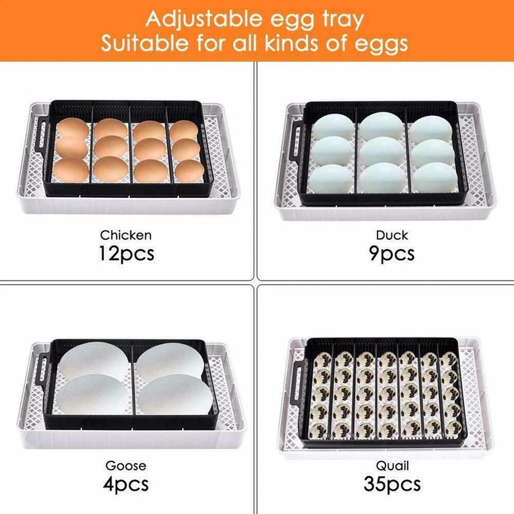12 Egg Incubator Automatic, Digital Smart Incubator with Auto Turner & Temperature Control, for Hatching Chicken, Duck, Goose Eggs
