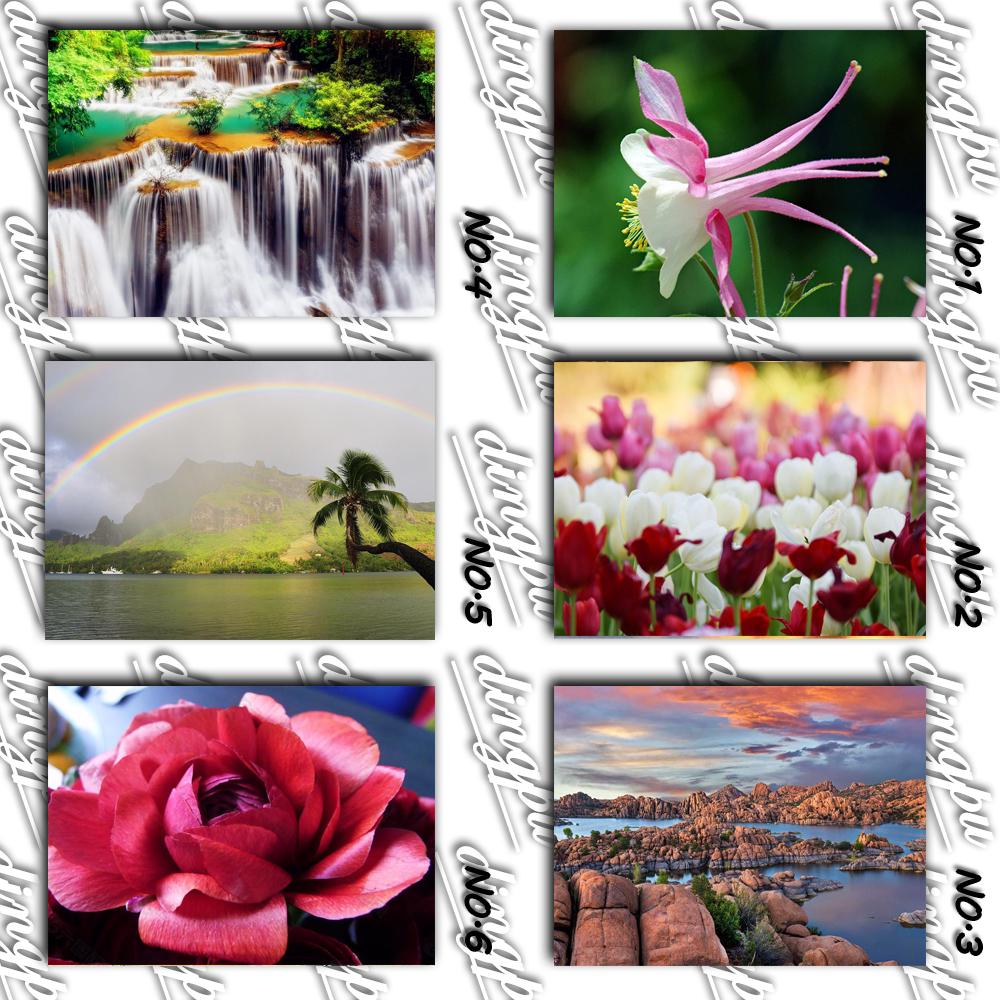 5D DIY diamant schilderij volledige ronde klaproos bloem kit diamant borduurwerk mozaïek decoraties thuis