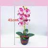 Aphrodite Phalaenopsis Artificial Rchb Potted Plant  For Gift And Decor Interior