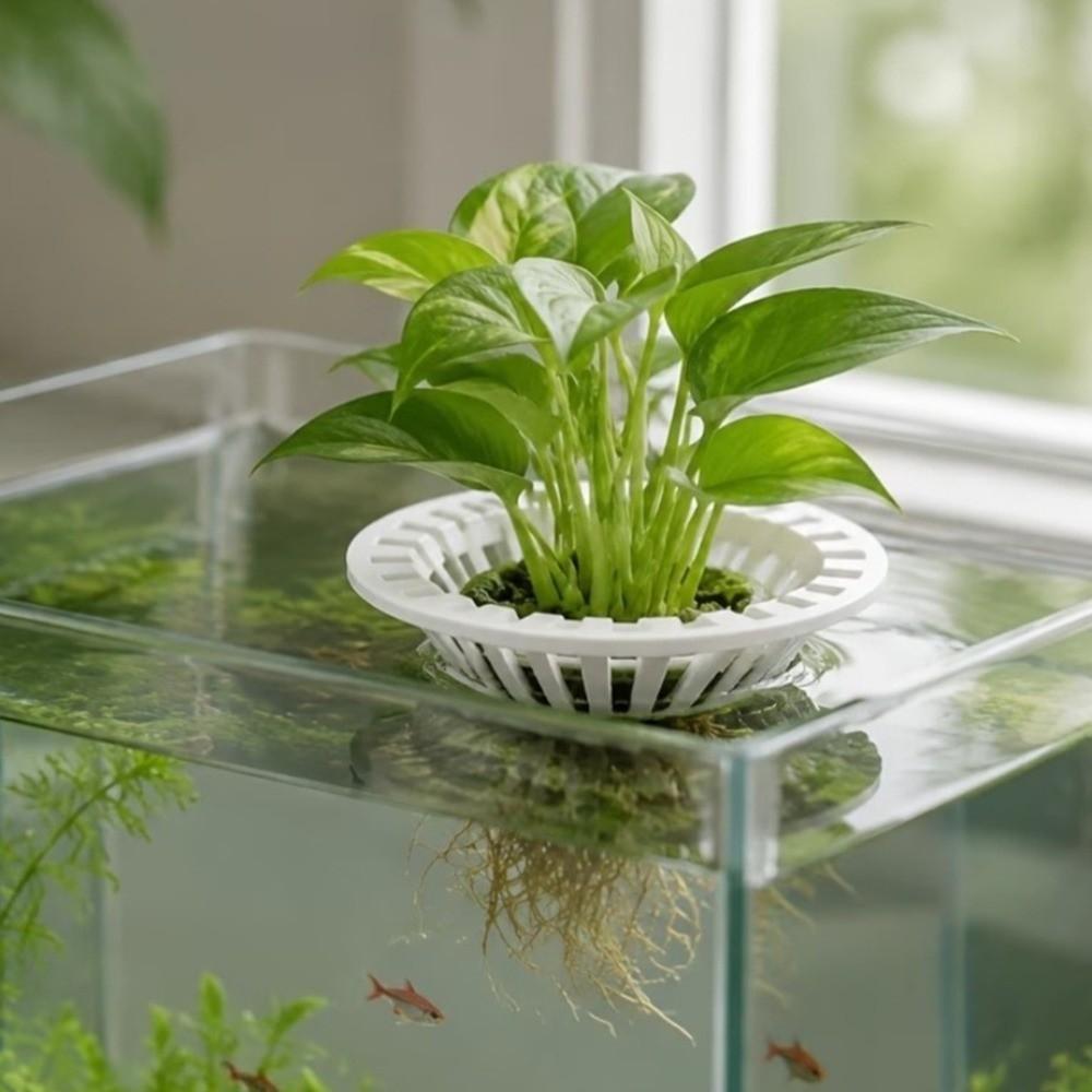 3D Printed Floating Colonization Basket Round Hydroponic Planting Basket Aquatic Environment