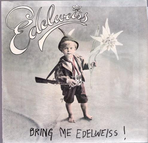 7inch Record EDELWEISS - Bring Me Edelweiss 788911 Atlantic 1989 US Pop Used