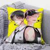Tamon S BSide AAnime  Home Sofa Cushion Covers and Aecorative Custom Pillow Covers