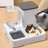 2 In 1 Automatic Pet Feeder Cat Feeder And Water Dispenser Pet Food And GravityAnd Waterer