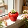 Plastic Planter Holder 3D Printed Succulents Planter Minimalist Flower Container  Living Room