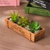 Retro Boxes Crates Tools Sundries Storage Case Multifunction Wooden Holder for Indoor Plant Flower Retro Planter