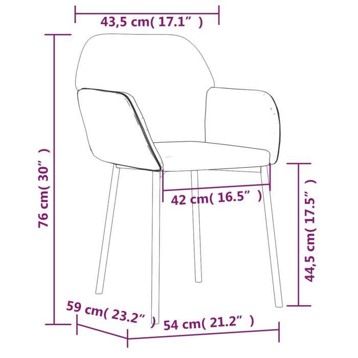 VidaXL 2x Dining Chairs Dining Armchairs Kitchen Chairs Dining Seats Dining Chairs Restaurant 344707