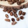 Rattan DIY Craft Kit: Cute Peapod Doll Pendant Material Pack