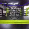 Professional Boxing & Sanda Competition Ring