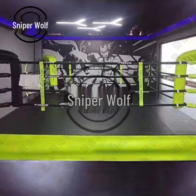 Professional Boxing & Sanda Competition Ring