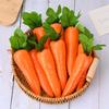 5/10Pcs Artificial Carrot Foam Vegetable Photo Prop Food Toy Mini Toys Decorations Party Favor Fake Vegetables