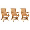 Garden Chairs with Burgundy Cushions 3 pcs Solid Teak Wood