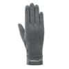 Ladies' Autumn And Winter  Fashionable And Versatile Touchscreen Gloves