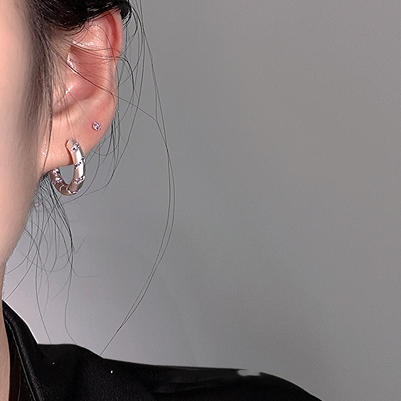 Purple Round Plain Silver Ear Buckle Unique Design Earrings Light Luxury High Sense Fashion Exquisite Earrings