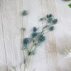 Preserved Eryngium Blue Planet Glass Dome DIY Wedding Flowers