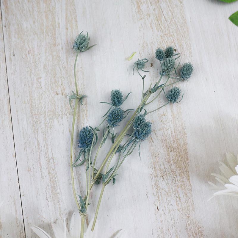 Preserved Eryngium Blue Planet Glass Dome DIY Wedding Flowers