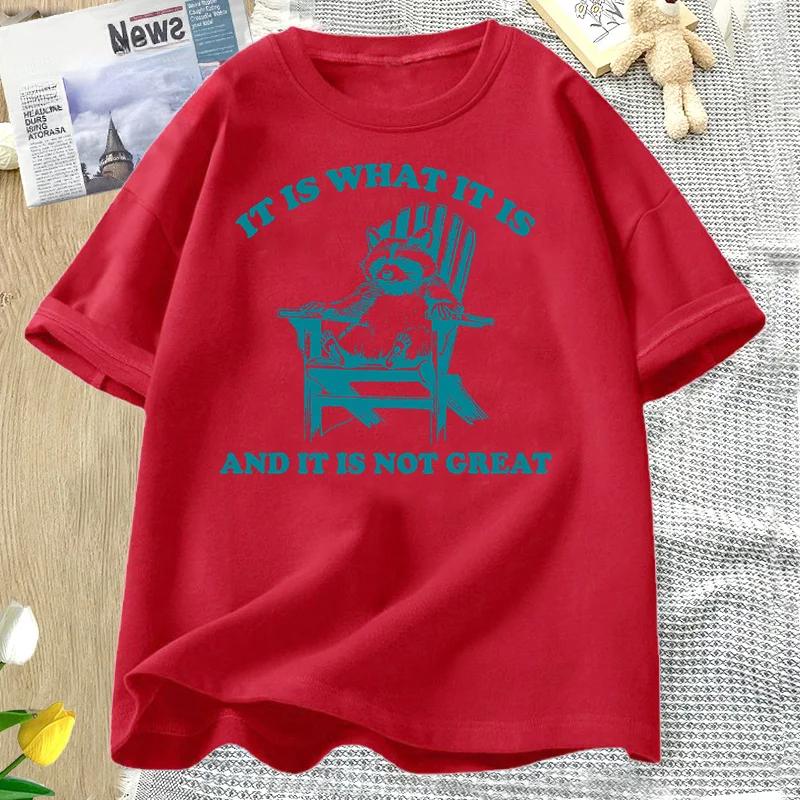It Is What It Is and It Is Not Great Funny Raccoon T Shirt Women Trash Panda Opossum Graphic T-shirts Short Sleeve Tees
