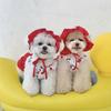 Primavera Verão Cachorro Fofo Cereja Roupa de Banho Vestido Urso Teddy Abelha Cão Pequeno e Médio Saia Cão Animal de Estimação Vestido