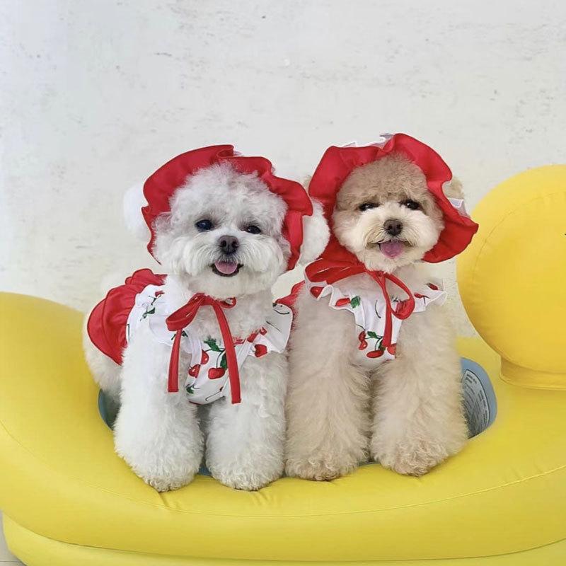 Primavera Verão Cachorro Fofo Cereja Roupa de Banho Vestido Urso Teddy Abelha Cão Pequeno e Médio Saia Cão Animal de Estimação Vestido