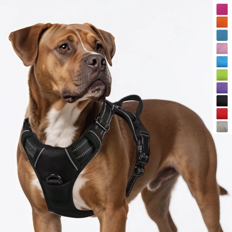 Dog Nylon Chest Harness and Leash for Large Pets