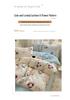Trendy Double-Sided Cotton Dorm Bedding Set, Fresh Style, 3-Piece or 4-Piece Options