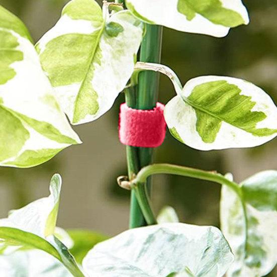 16,4 Fuß Pflanzenbinder Gartenband Wiederverwendbarer Klettverschluss Doppelseitiger Pflanzenstützbinder für Kletterpflanzen Kabelorganisation