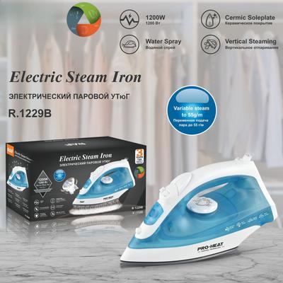 Household Handheld Steam Electric Iron Small Portable Iron 1200W