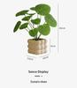 Nordic Green Artificial Potted Plant for Home or Office Decoration