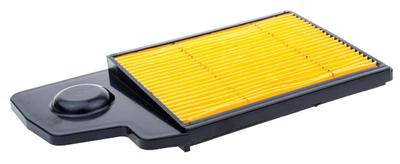 Luftfilter Yamaha Ylm446;Ylm453 8R01-13