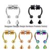 Stainless Steel Magnetic Horseshoe Nose Ring - No Piercing Needed