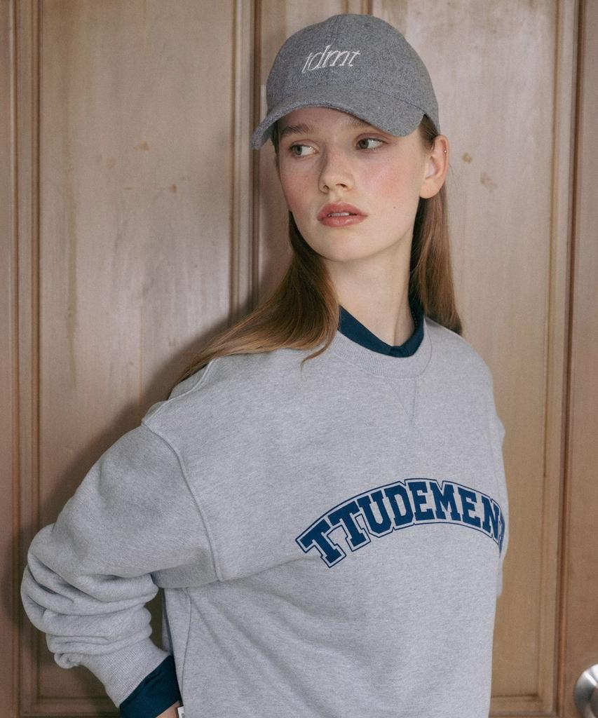 TTUDEMENT Tdmt Logo Ballcap Gray