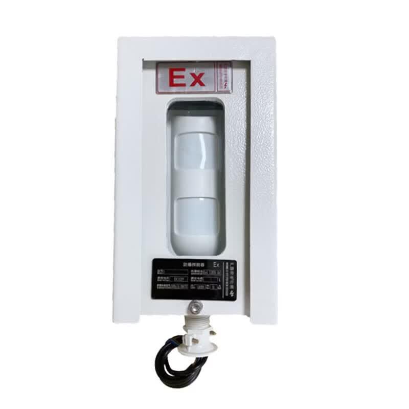 AEBELL Explosion-Proof Infrared Alarm Detector CN plug (adapter included)
