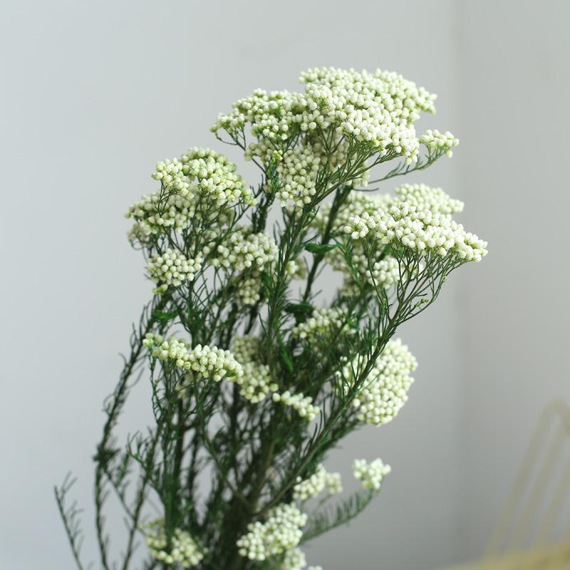 Yunnan Dried & Immortal Flowers Bouquet: Baby's Breath, Roses, Forget-Me-Nots for Home & Homestay Decor