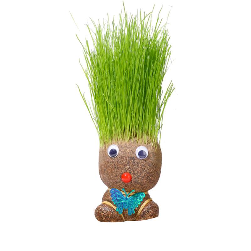 DIY Blooming Grass Head Doll - Cute Indoor Potted Flower for Kindergarten