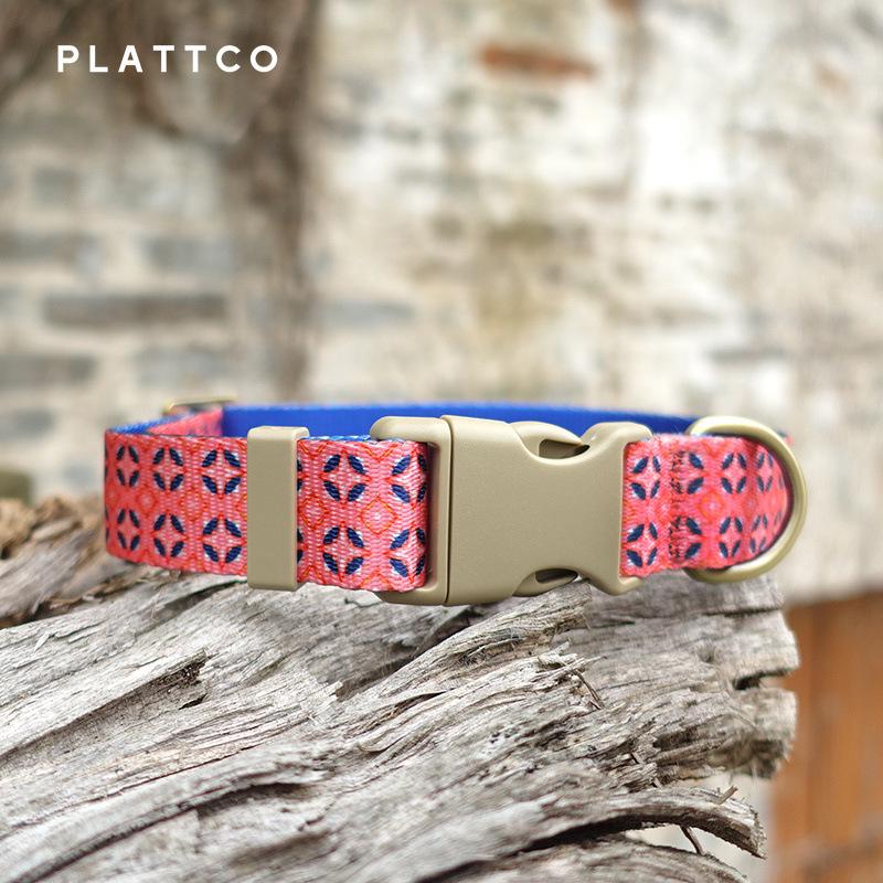 PLATTCO Orange-Red Laser Engraved Pet Collar & Leash Set (PDC361) XS (1.5cm x 23-30cm)