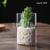 High Borosilicate Glass Hydroponic Vase & Desktop Planter - Straight Tube Design for Artistic Arrangements and Moss Ecosystem