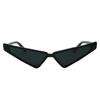 Sunglasses Anime Collaboration UV Protection Black with Maintenance Kit